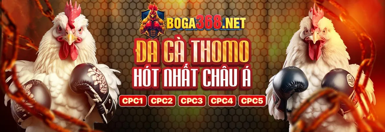 Kingbet86 sử dụng dữ liệu cá nhân của bạn như thế nào