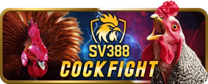 Chương Trình VIP Kingbet86